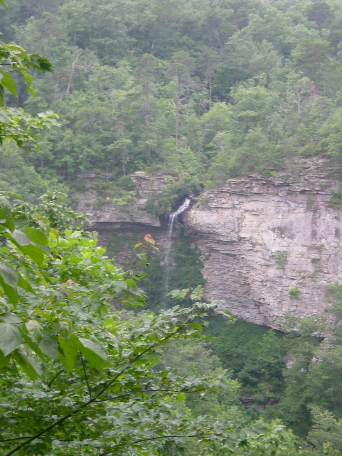 Grace's High Falls, Alabama's highest waterfall at 133 feet.