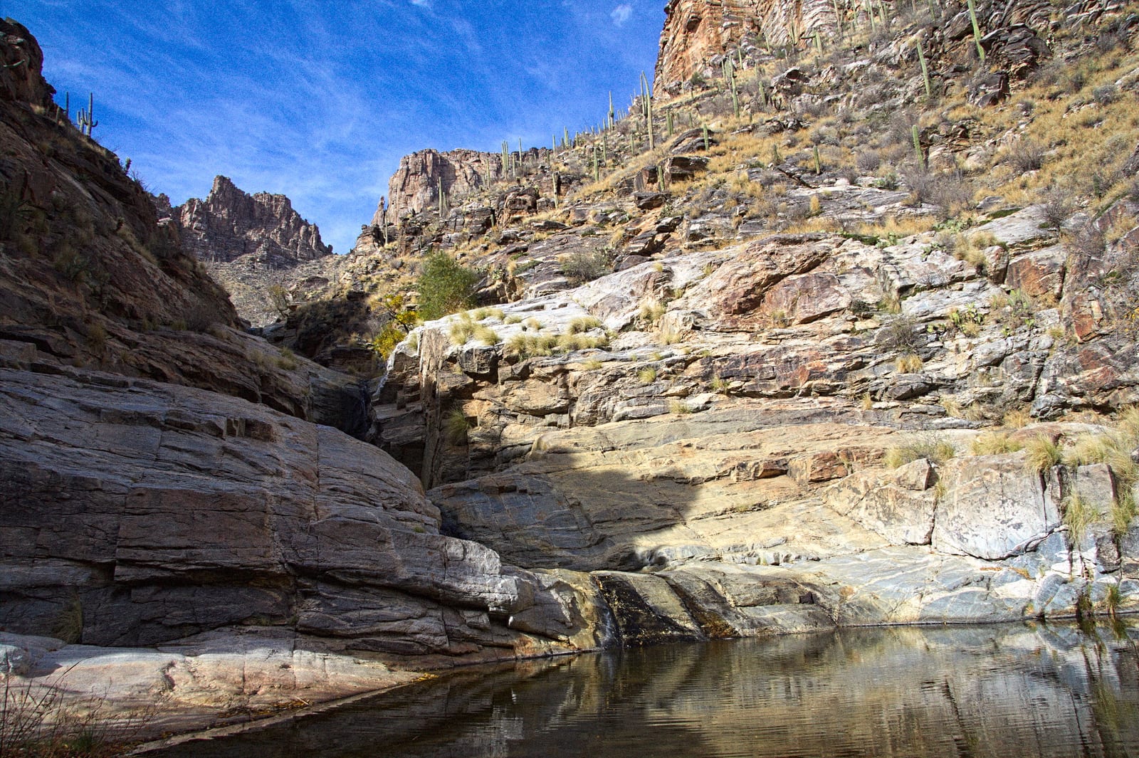 Bear Canyon, Santa Catalina Mountains.