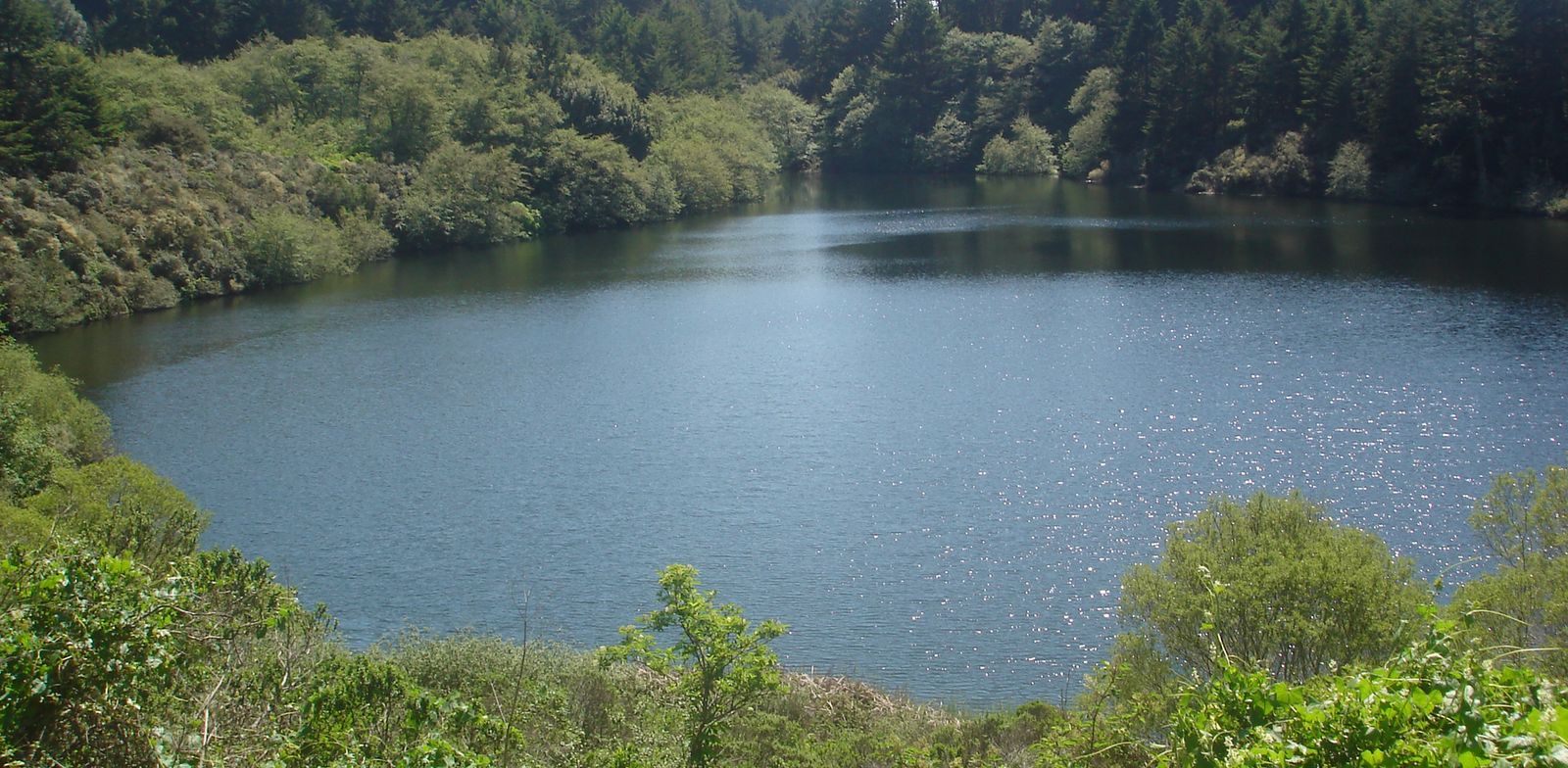 Bass Lake on Point Reyes National Seashore viewed from the Palomarin Trail to Alamere Falls
