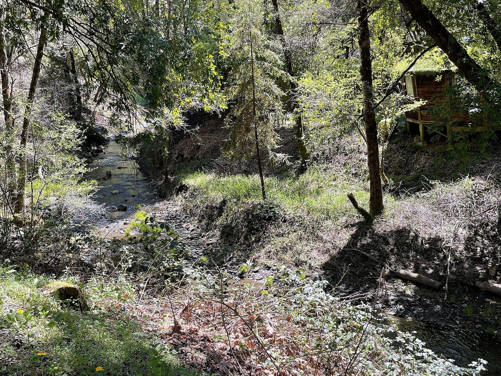 South fork of the Big River at Orr Hot Springs Resort