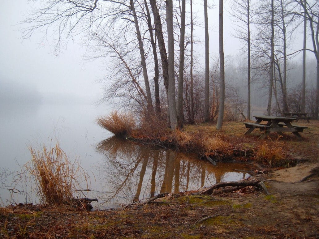 Lums Pond State Park table