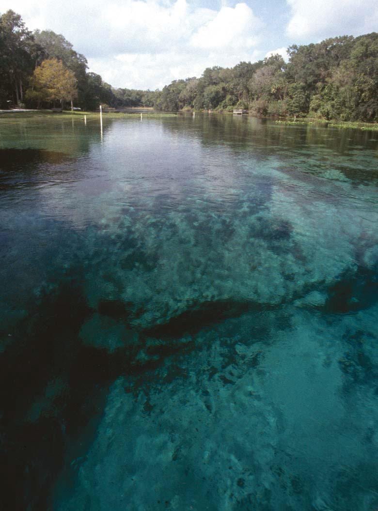 Alexander Springs in Florida