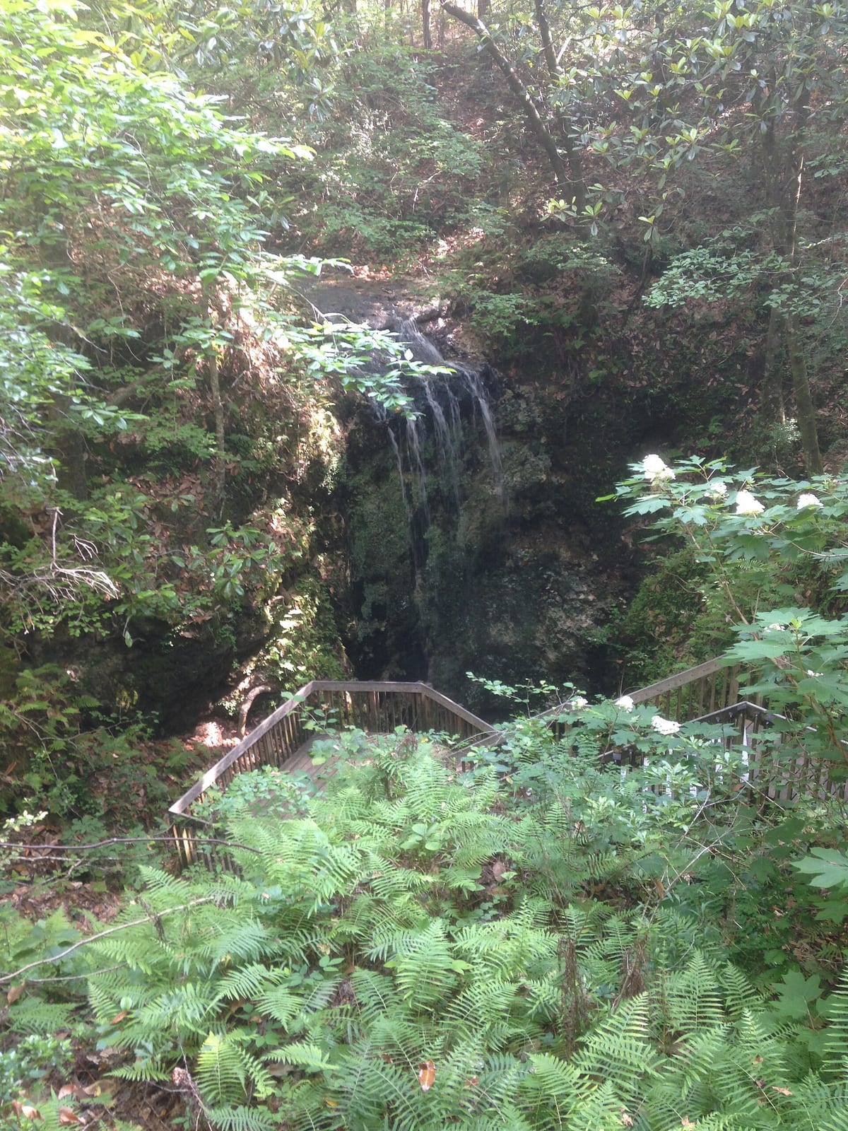 Waterfall at Falling Waters State Park, Florida