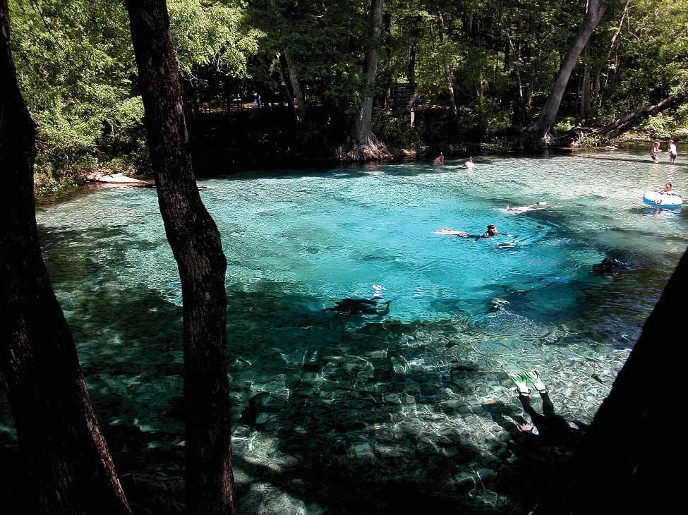 Ginnie Spring in Florida