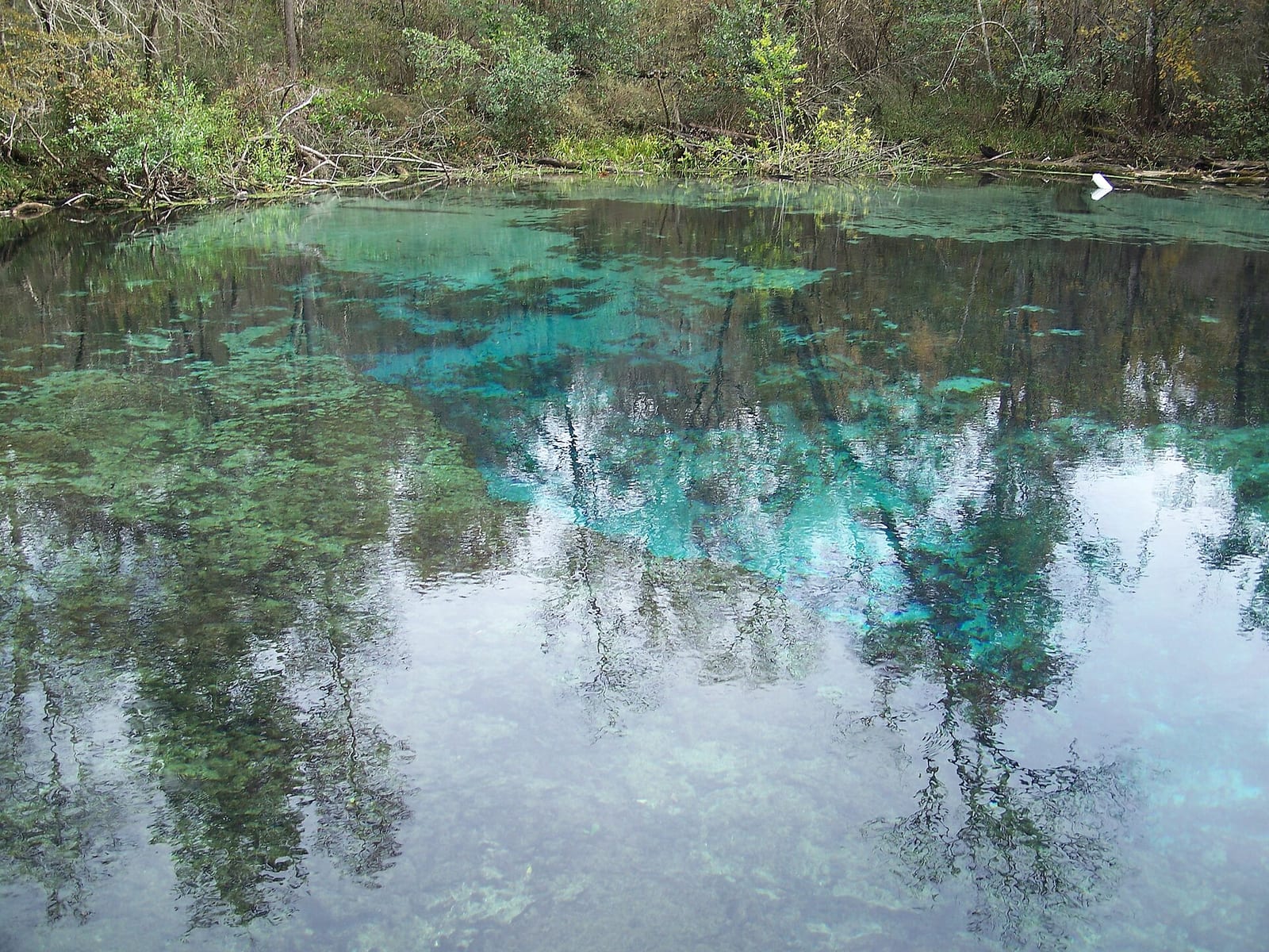 Head spring at Ichetucknee Springs State Park, Florida