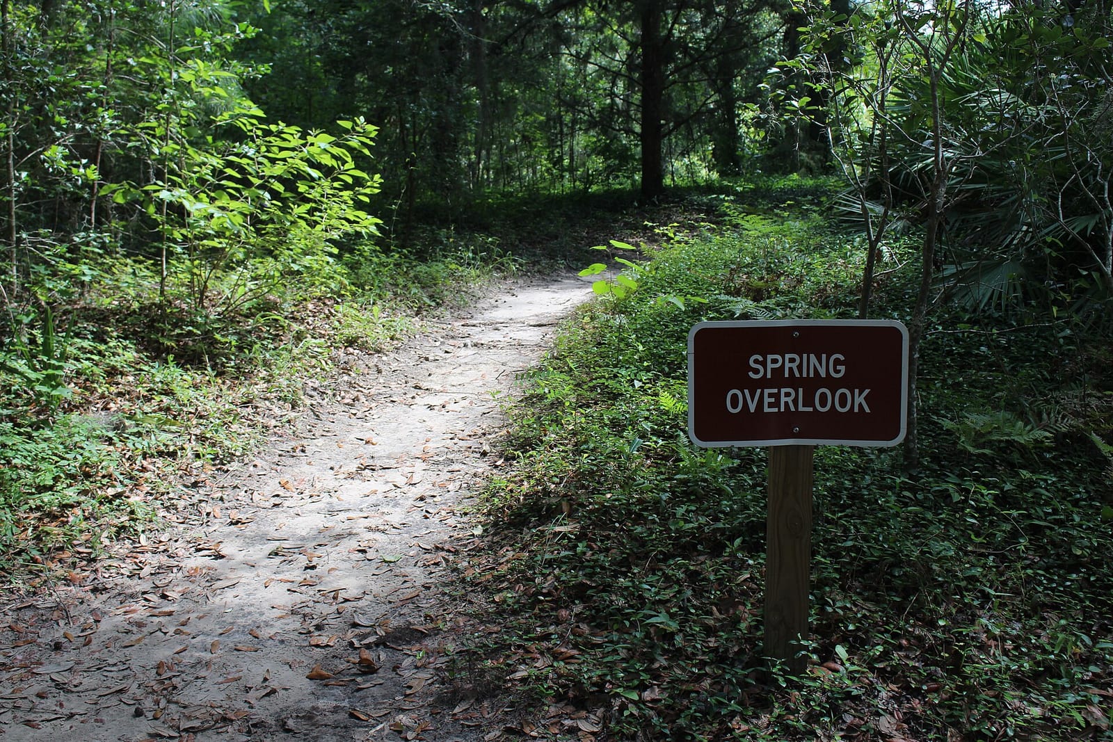 Madison Blue Springs State Park, Madison County, Florida
