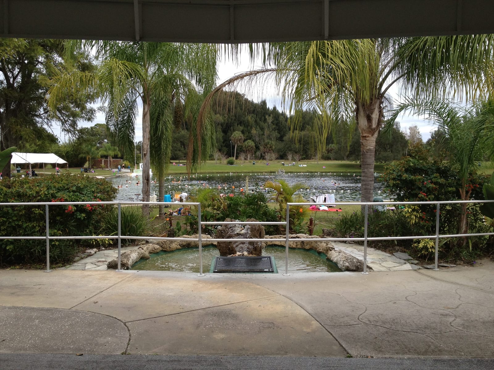 Warm Mineral Springs pool and shoreline in North Port, Florida