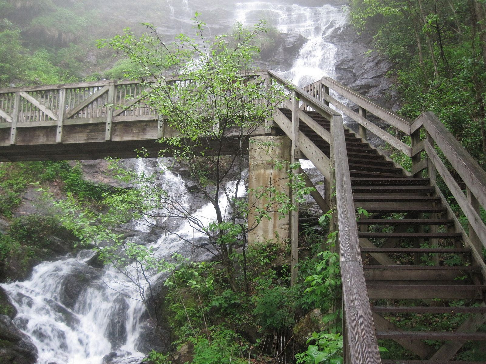 Stairway alongside Amicalola Falls