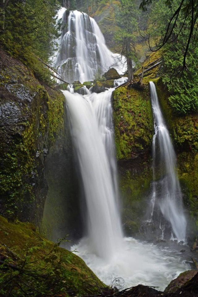 Panther Creek Falls in Gifford Pinchot National Forest taken May 19, 2022. (photographer: Dan Trujillo)