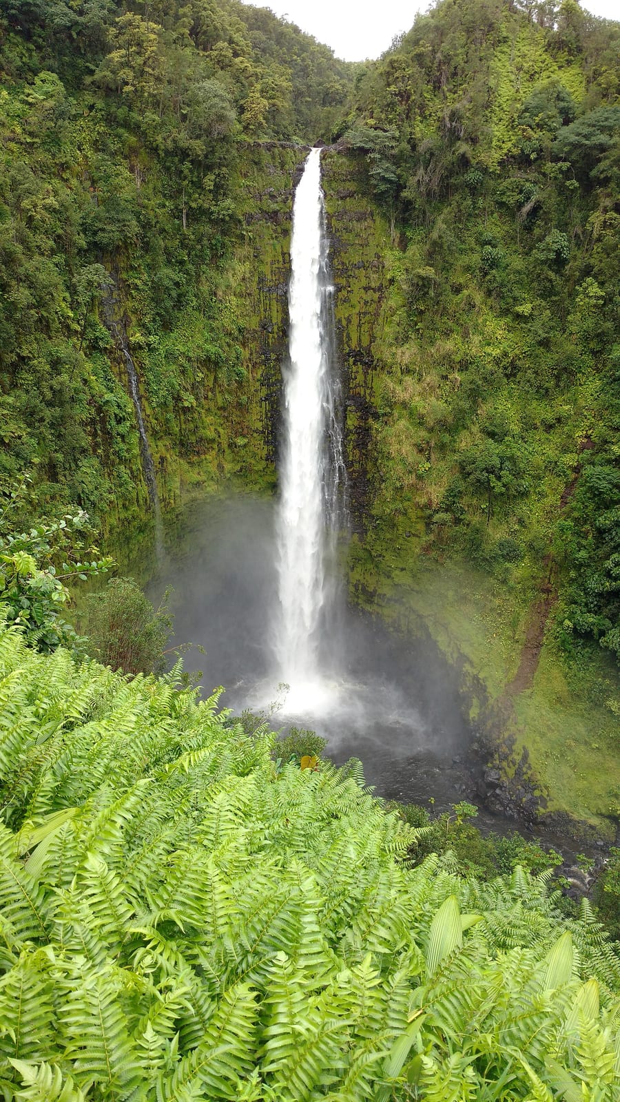Akaka Falls, Hawaii