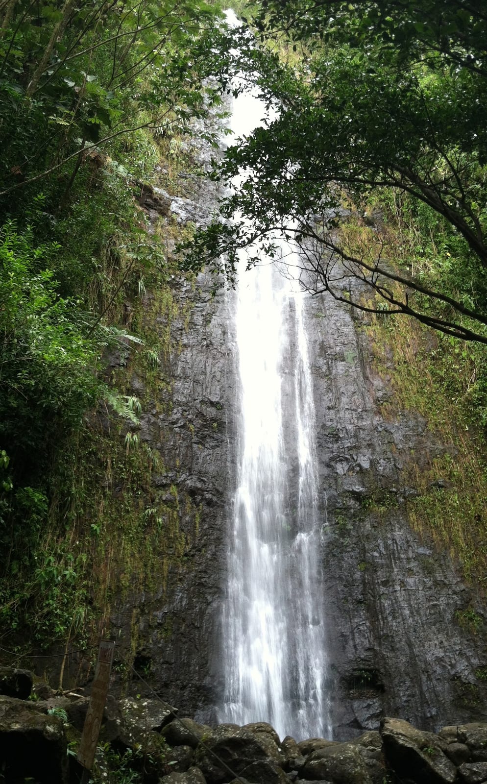Manoa Falls, photo taken after heavy rain falls.