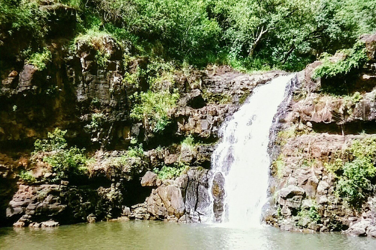 Waimea Falls Oahu