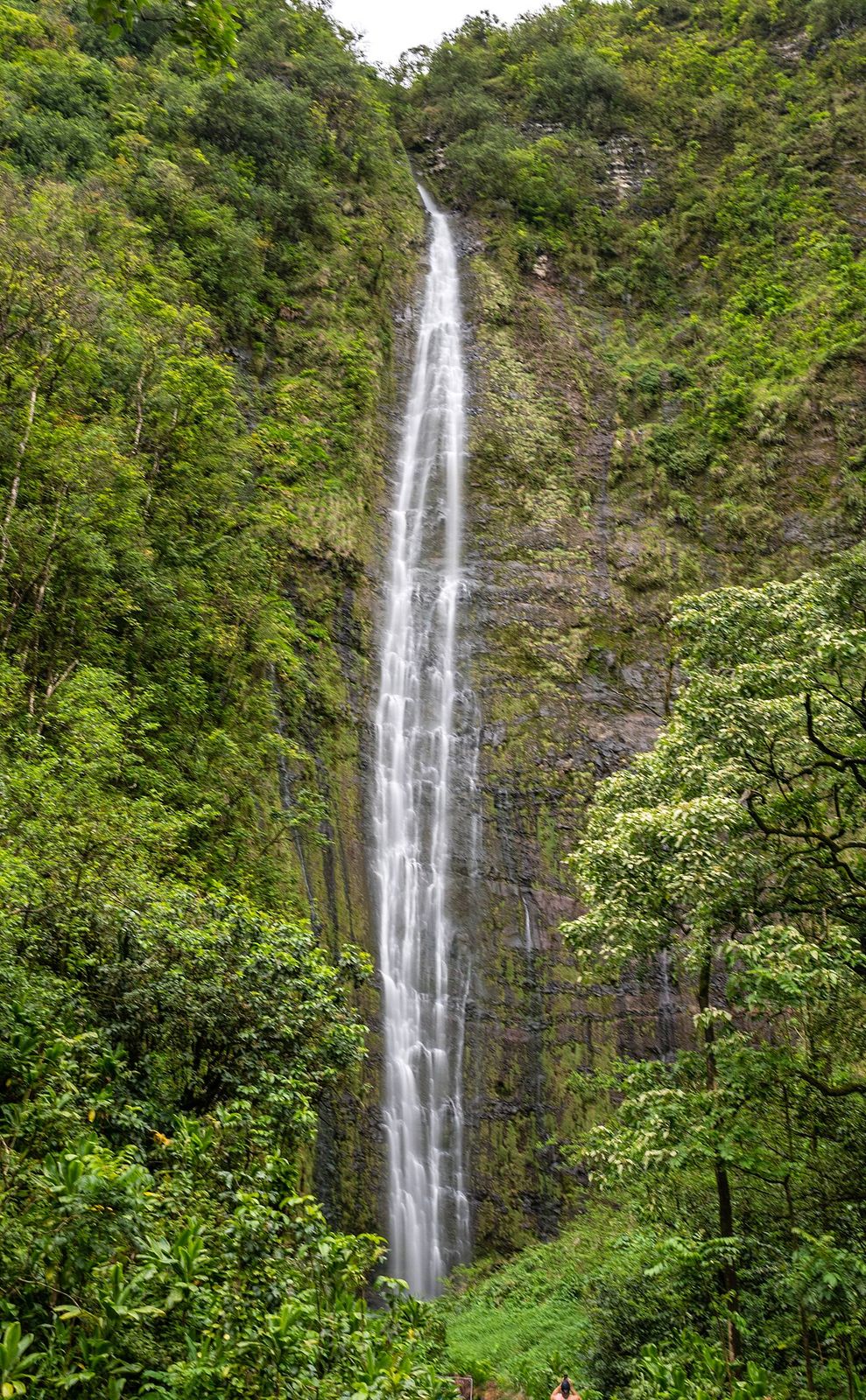 Waimoku Falls