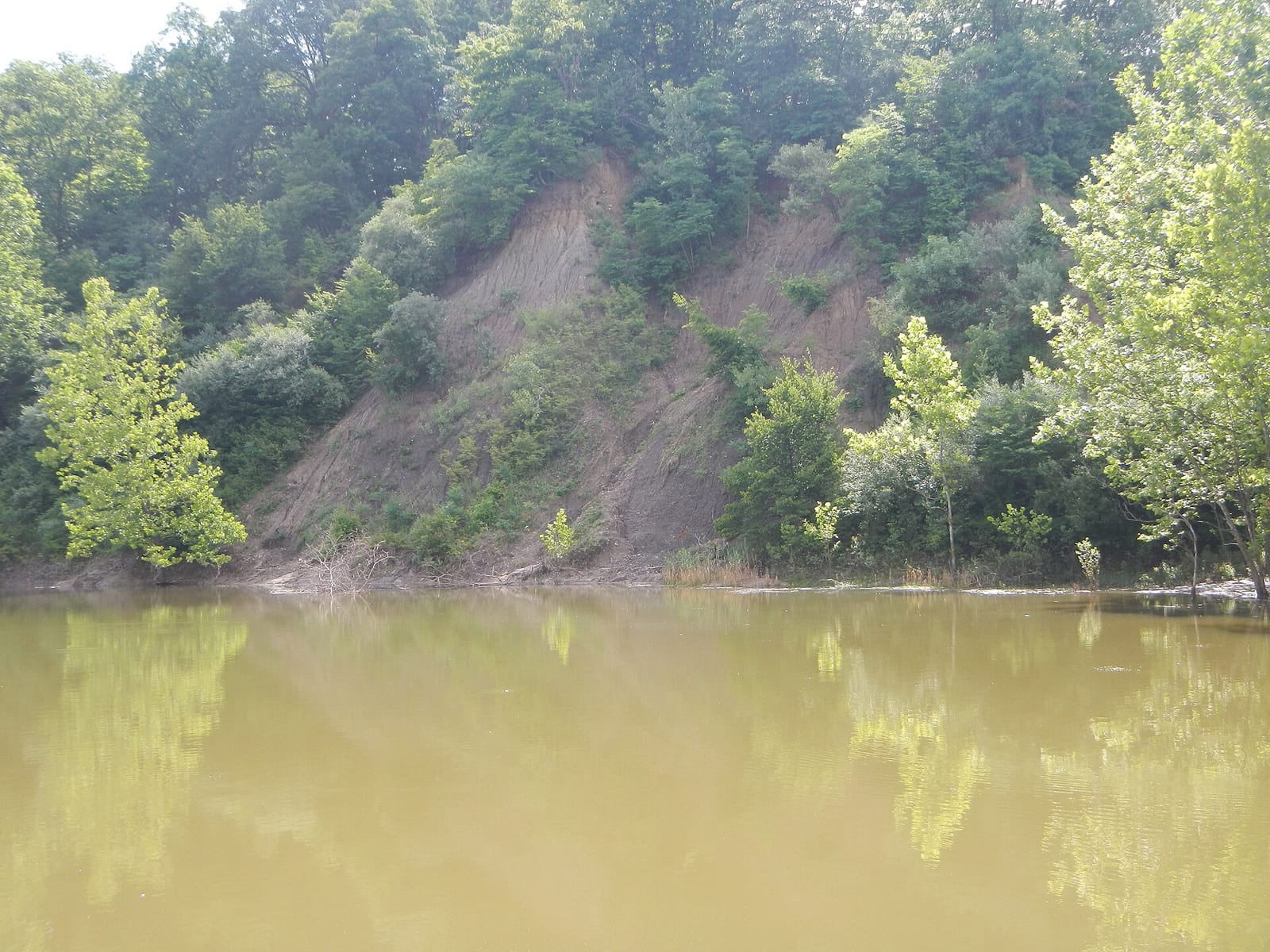 Emerald Pond area at Kickapoo State Park, Illinois