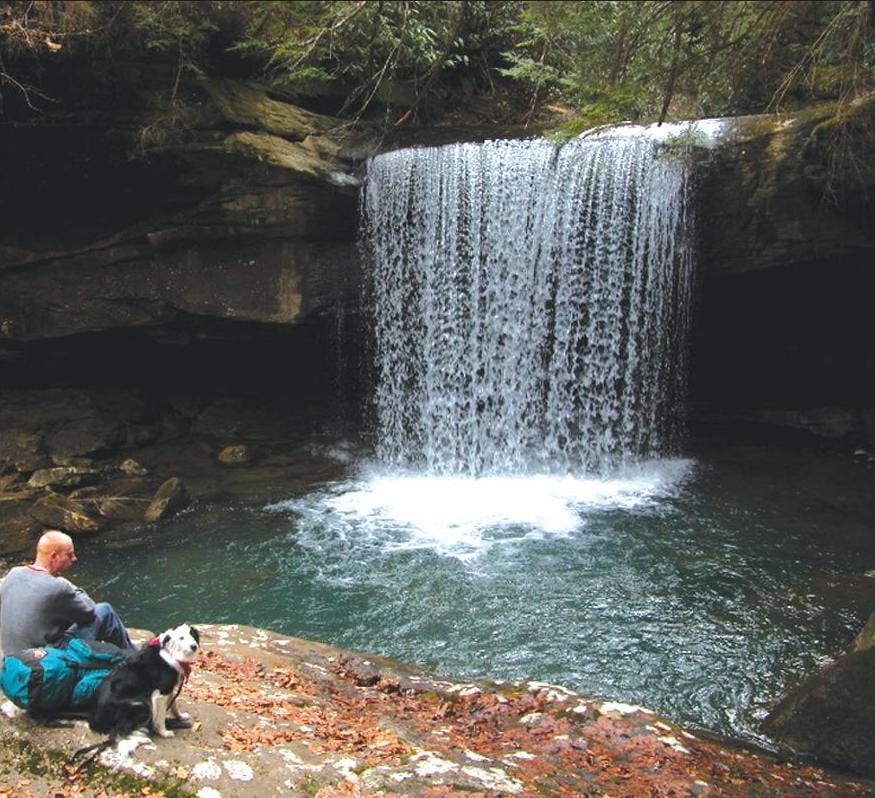 Dog Slaughter Falls Trail brochure from the US Forest Service