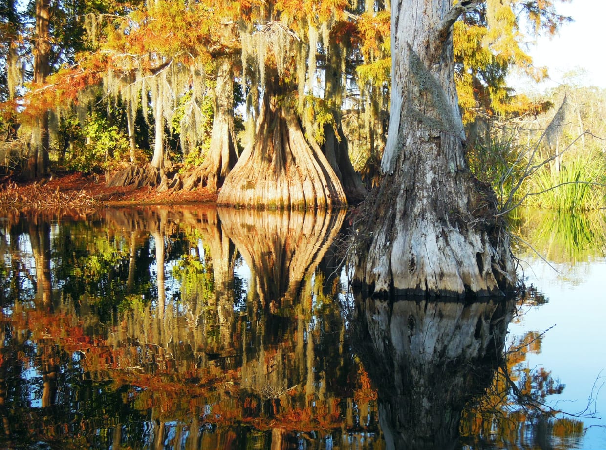 lake chicot