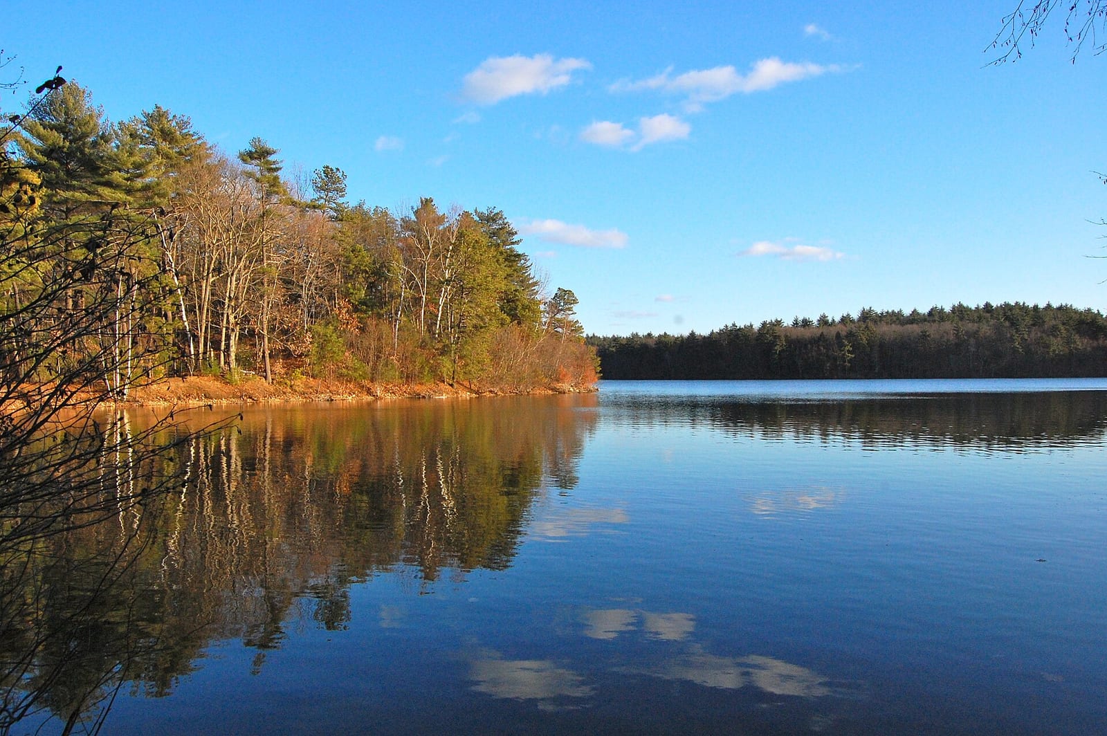 Walden.