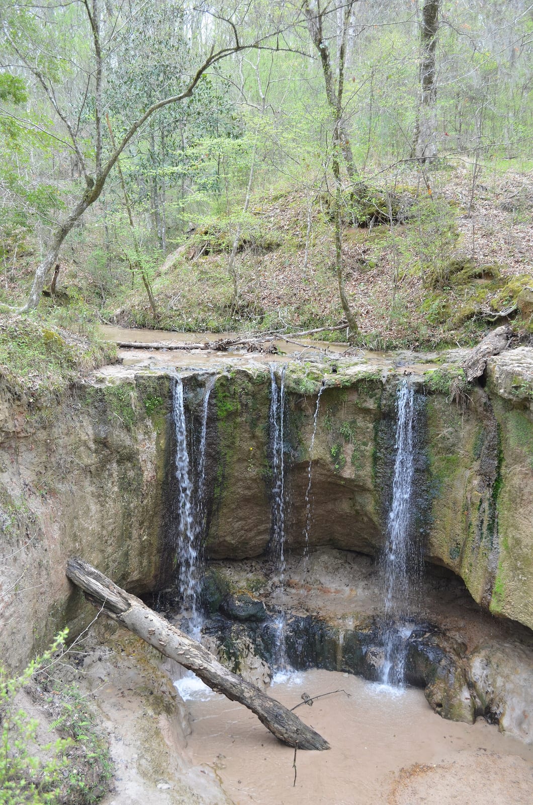 Waterfall at Clark Creek Natural Area, near Pond, Wilkinson County, Mississippi