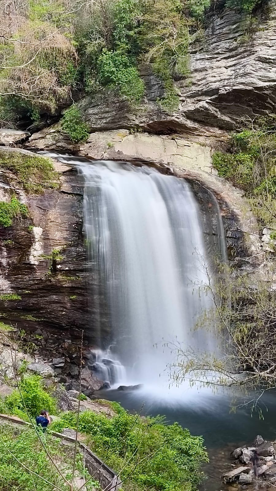 Looking Glass Falls from the viewing area, Pisgah National Forest, April 2025