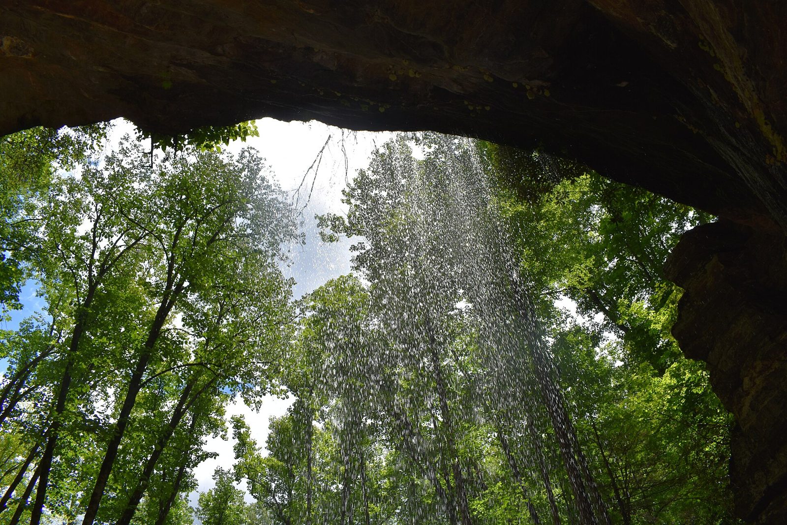 Inside of Moore Cove Falls, looking up