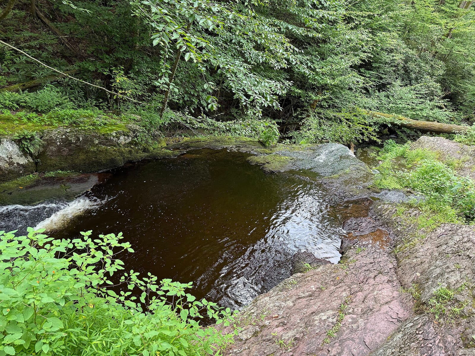 View south across Tillman Brook in Tillman Ravine Natural Area within Stokes State Forest in Walpack Township, Sussex County, New Jersey