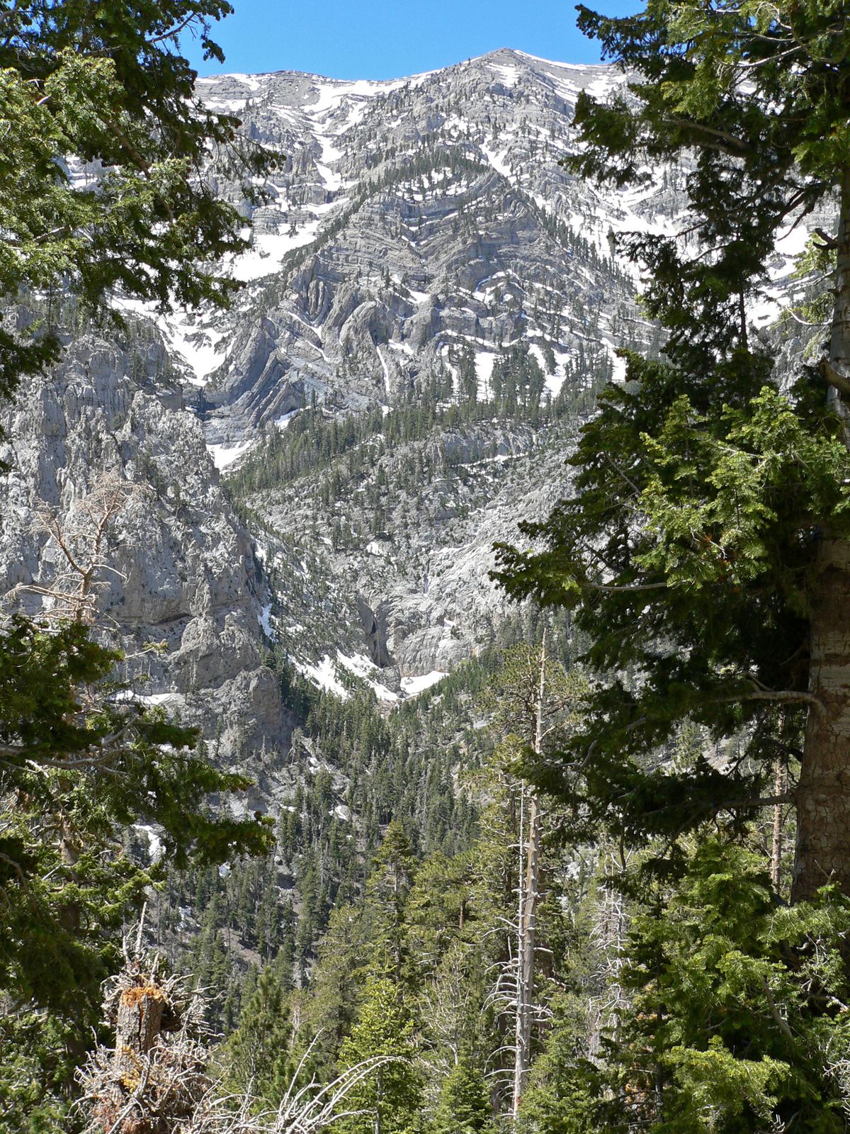 Big Falls seen across upper Kyle Canyon from the Mary Jane Falls Trail, May 2008