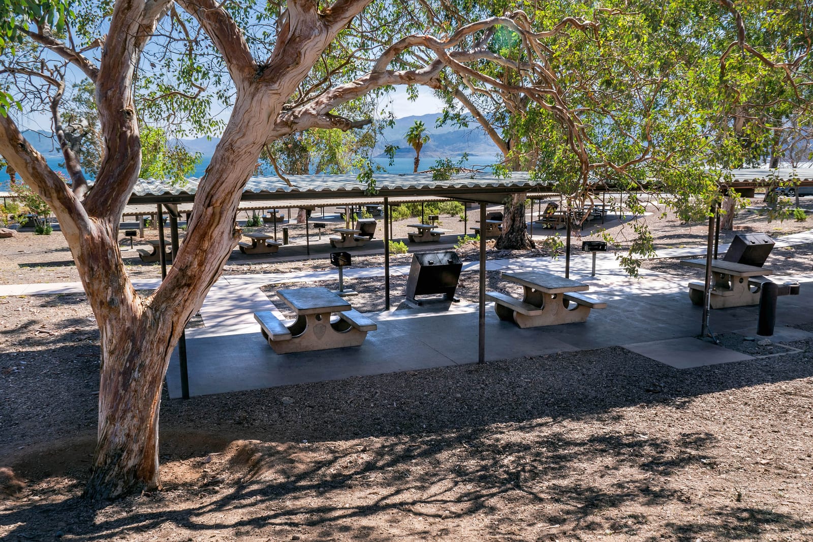 Shaded picnic tables at the Boulder Beach picnic area