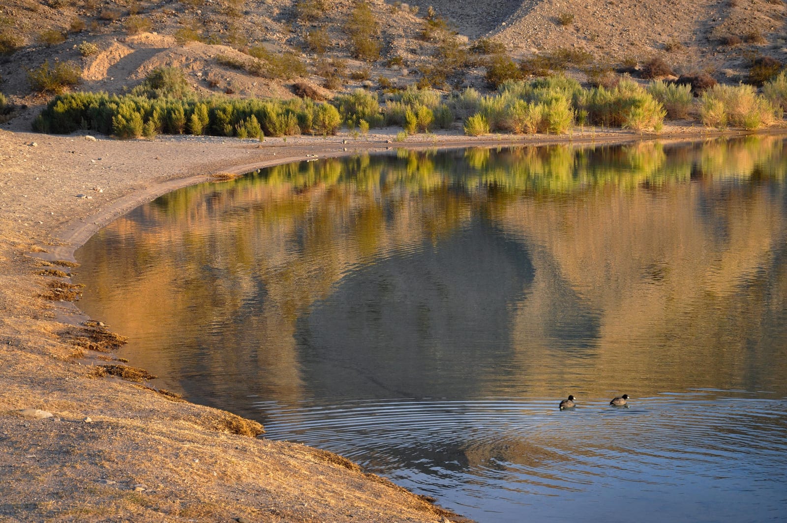 Hills reflected in still water off Cottonwood Cove Beach