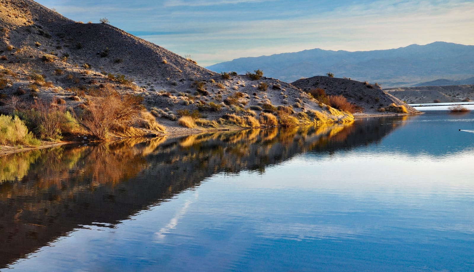 Calm water along the shore at Cottonwood Cove