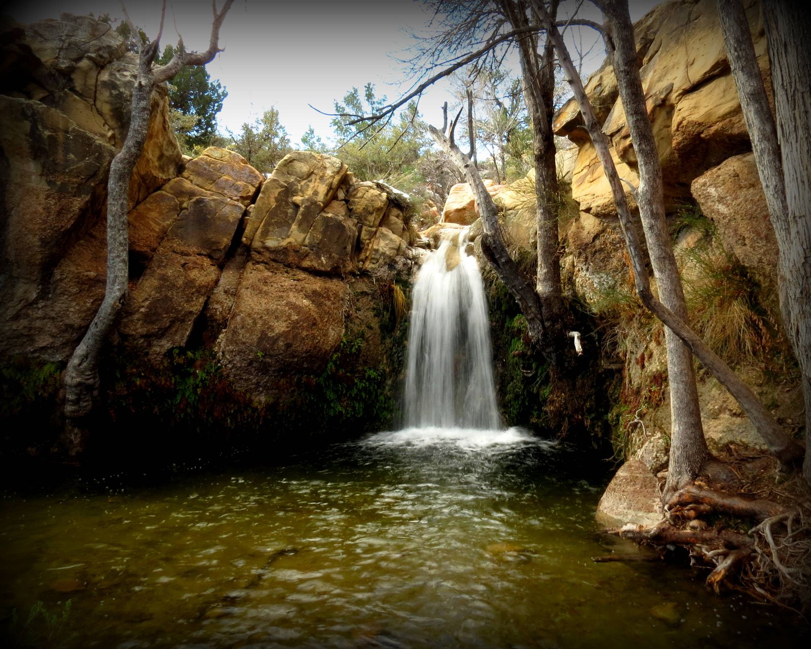 The First Creek grotto waterfall flowing after snow, February 2015