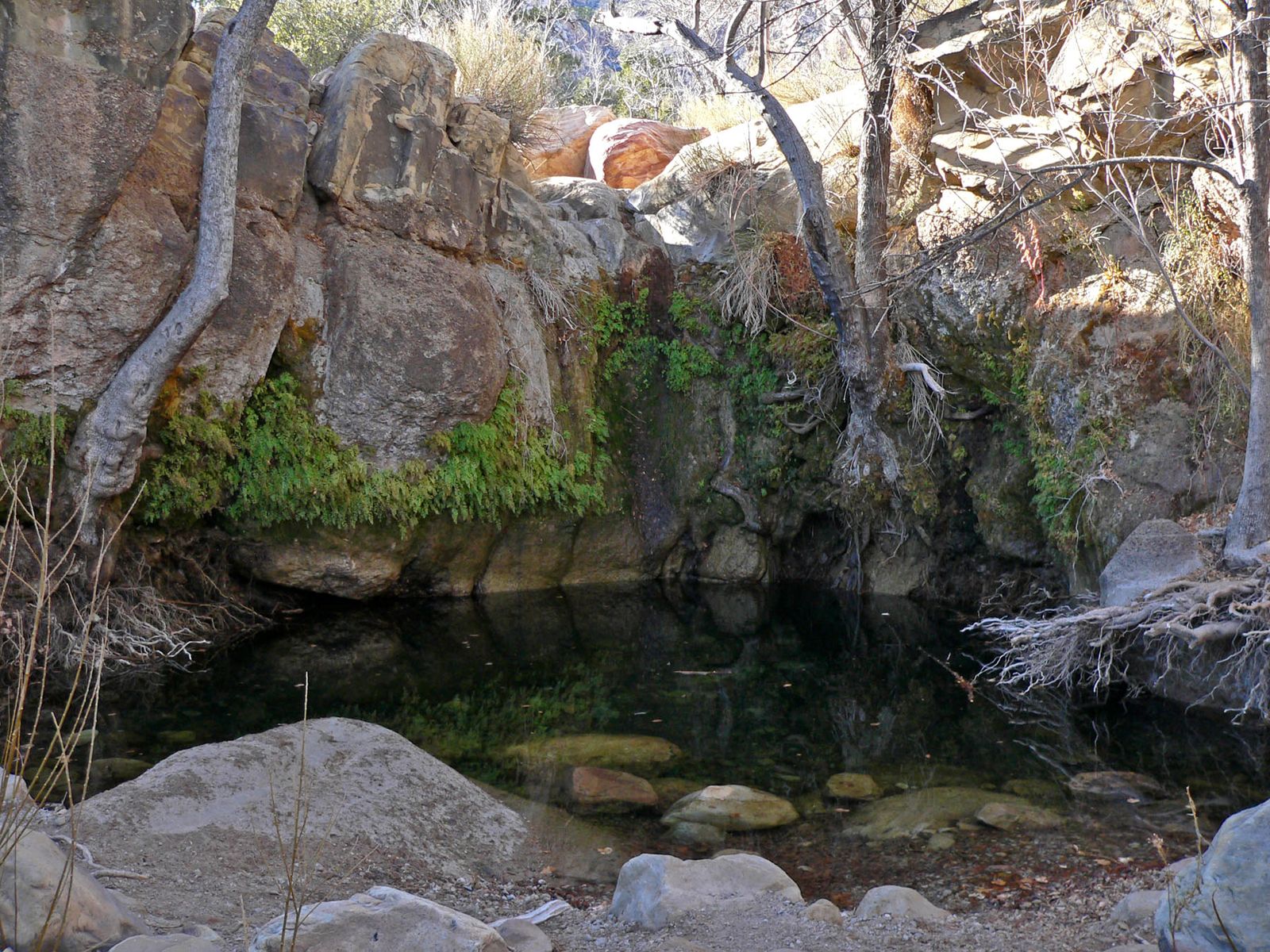 Pool of water in First Creek Canyon, December 2006