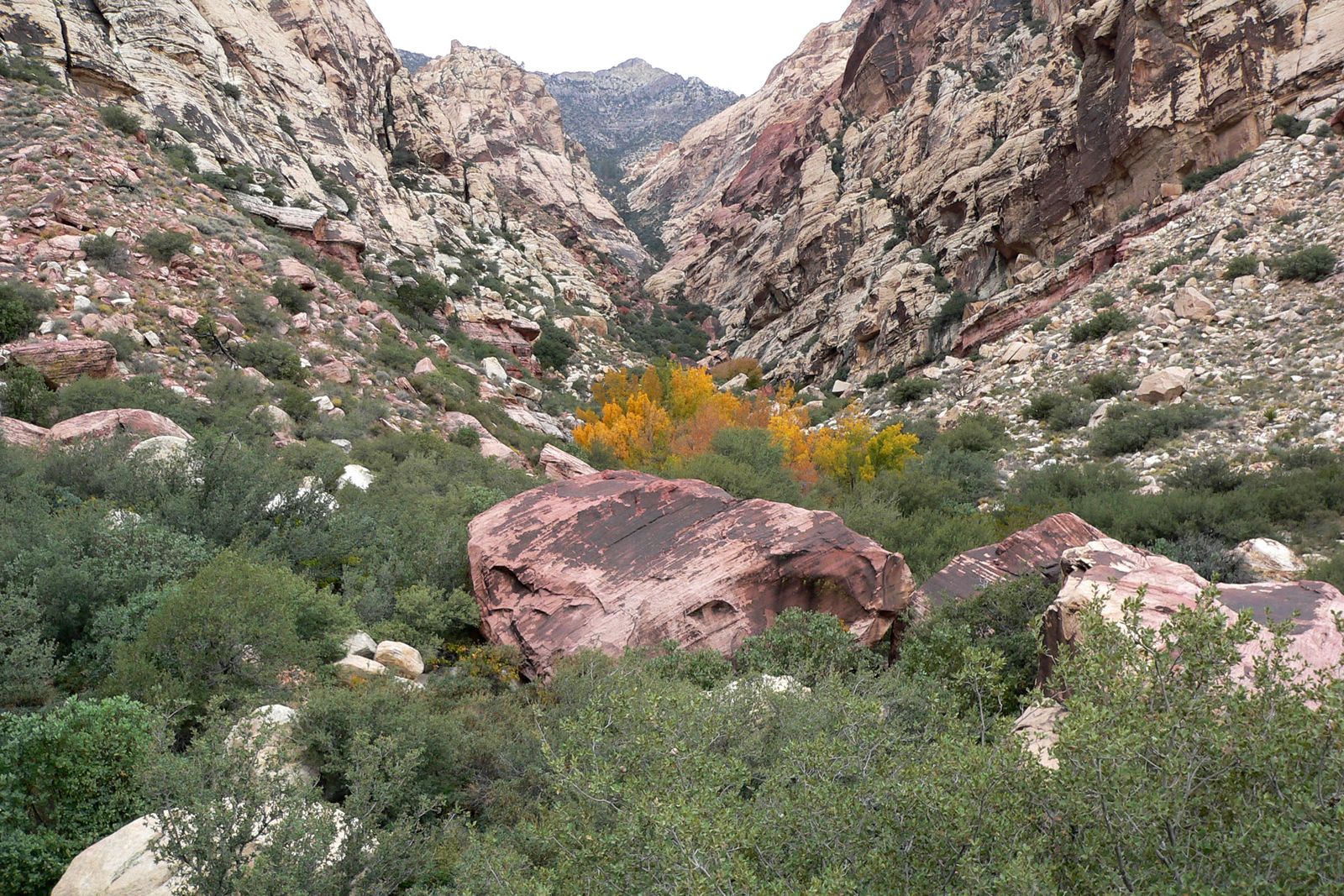 Entrance to First Creek Canyon, Red Rock Canyon National Conservation Area