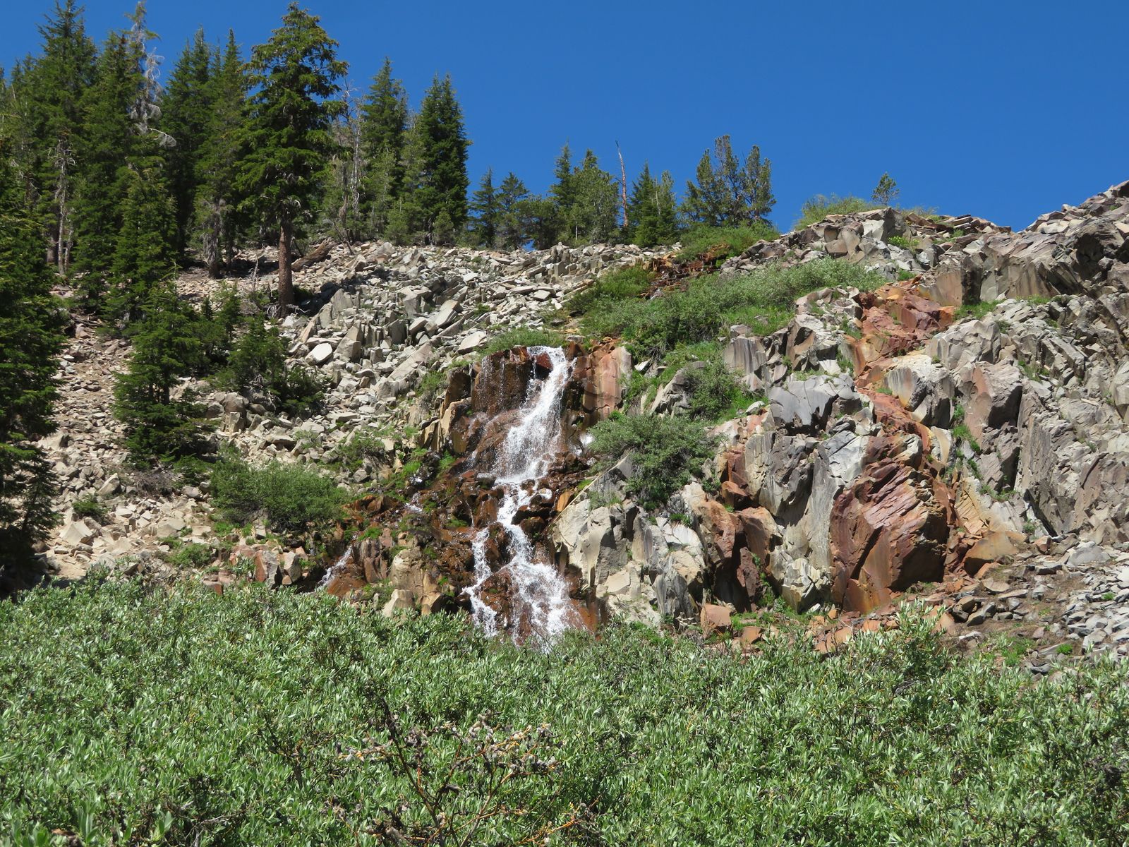 Galena Falls on the Mount Rose Trail, June 2020