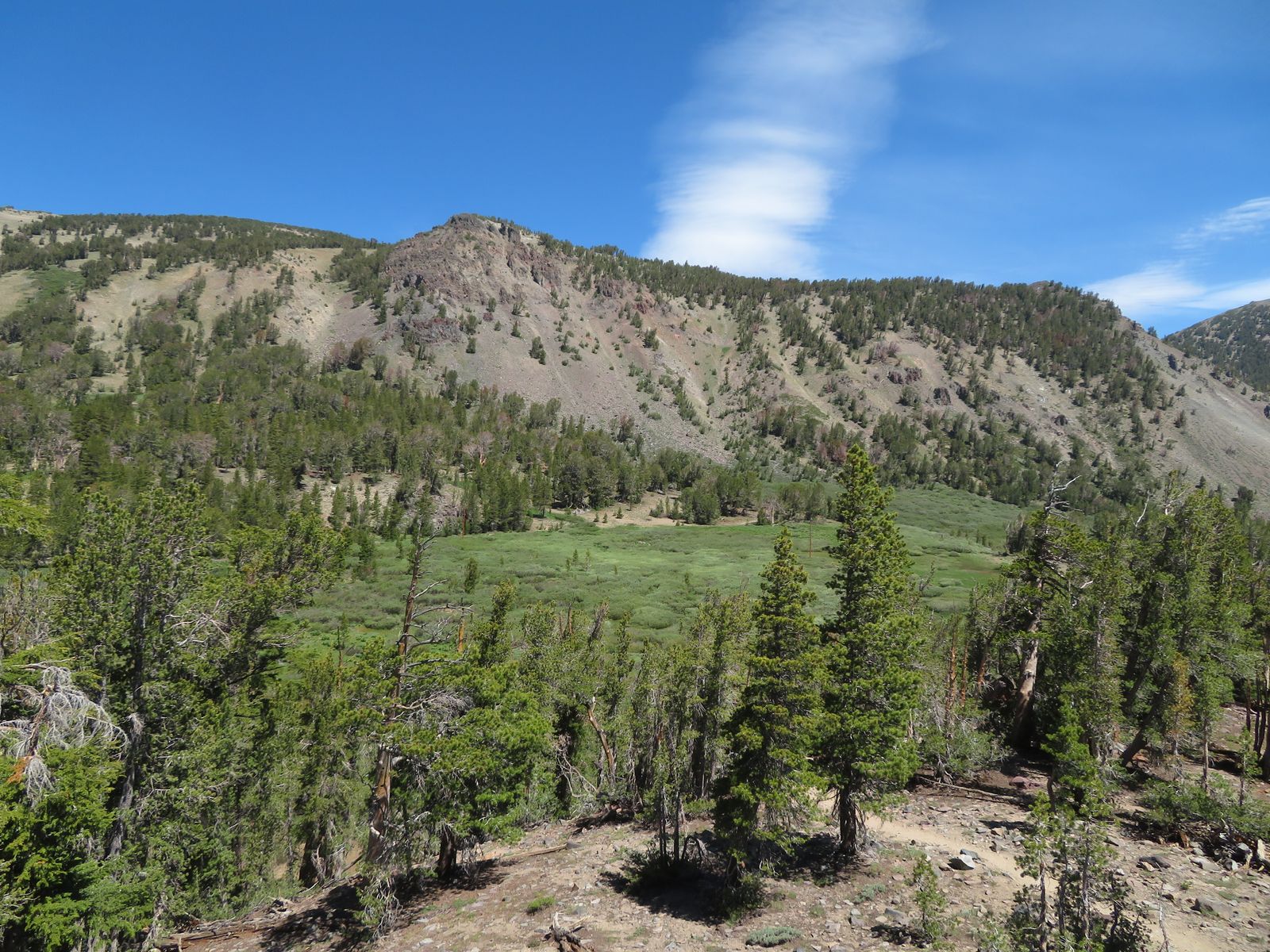 Meadow along the trail between Galena Falls and Mount Houghton