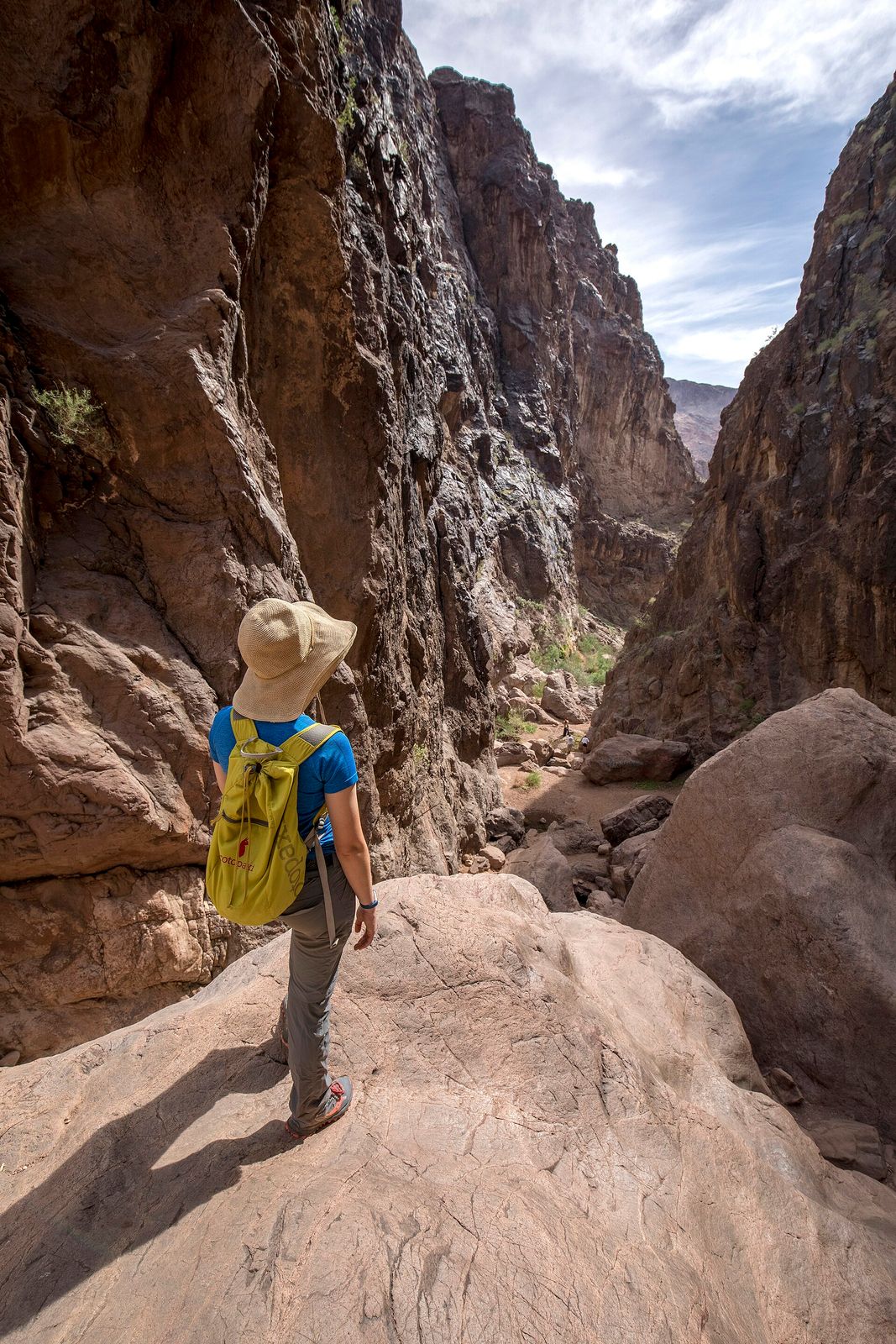A hiker looks down into Goldstrike Canyon, 2018