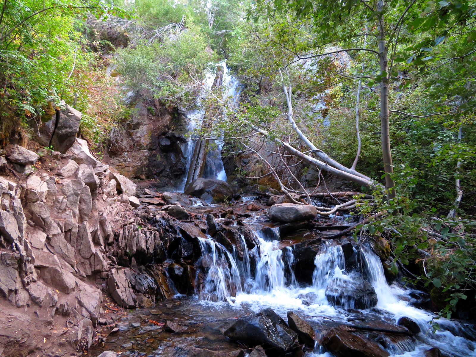 Hunter Creek Falls and its lower cascades, September 2020