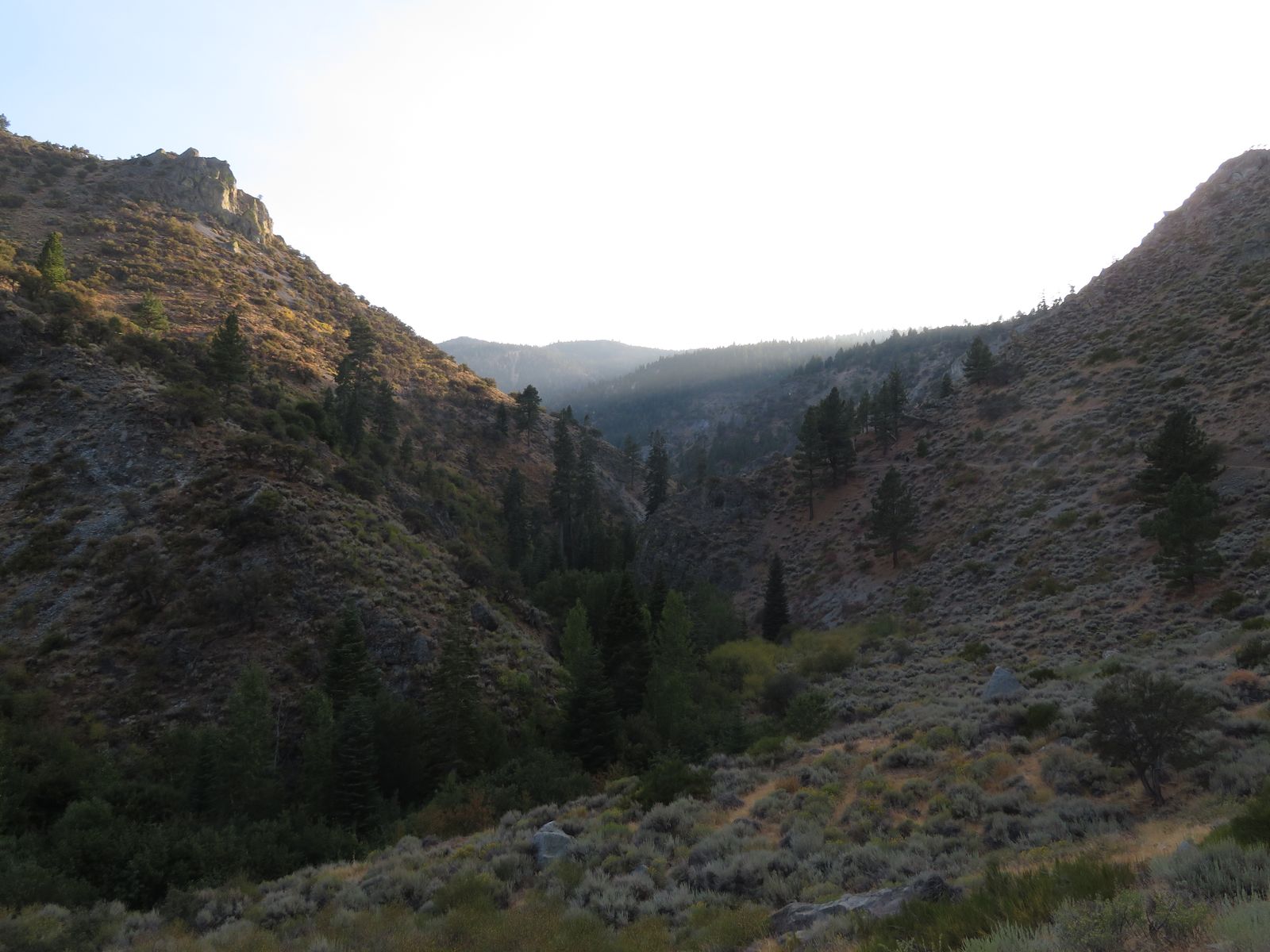 Hunter Creek canyon from the trail