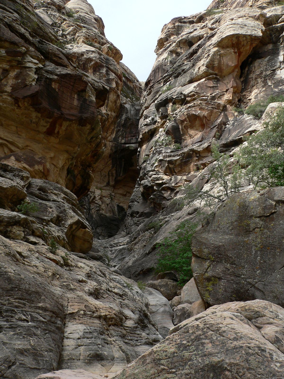 Head of Ice Box Canyon, Red Rock Canyon National Conservation Area