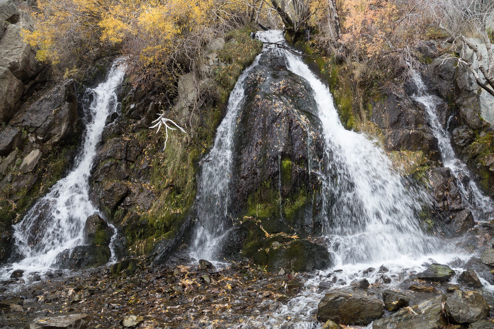 Kings Canyon Waterfall, Carson City, November 2023