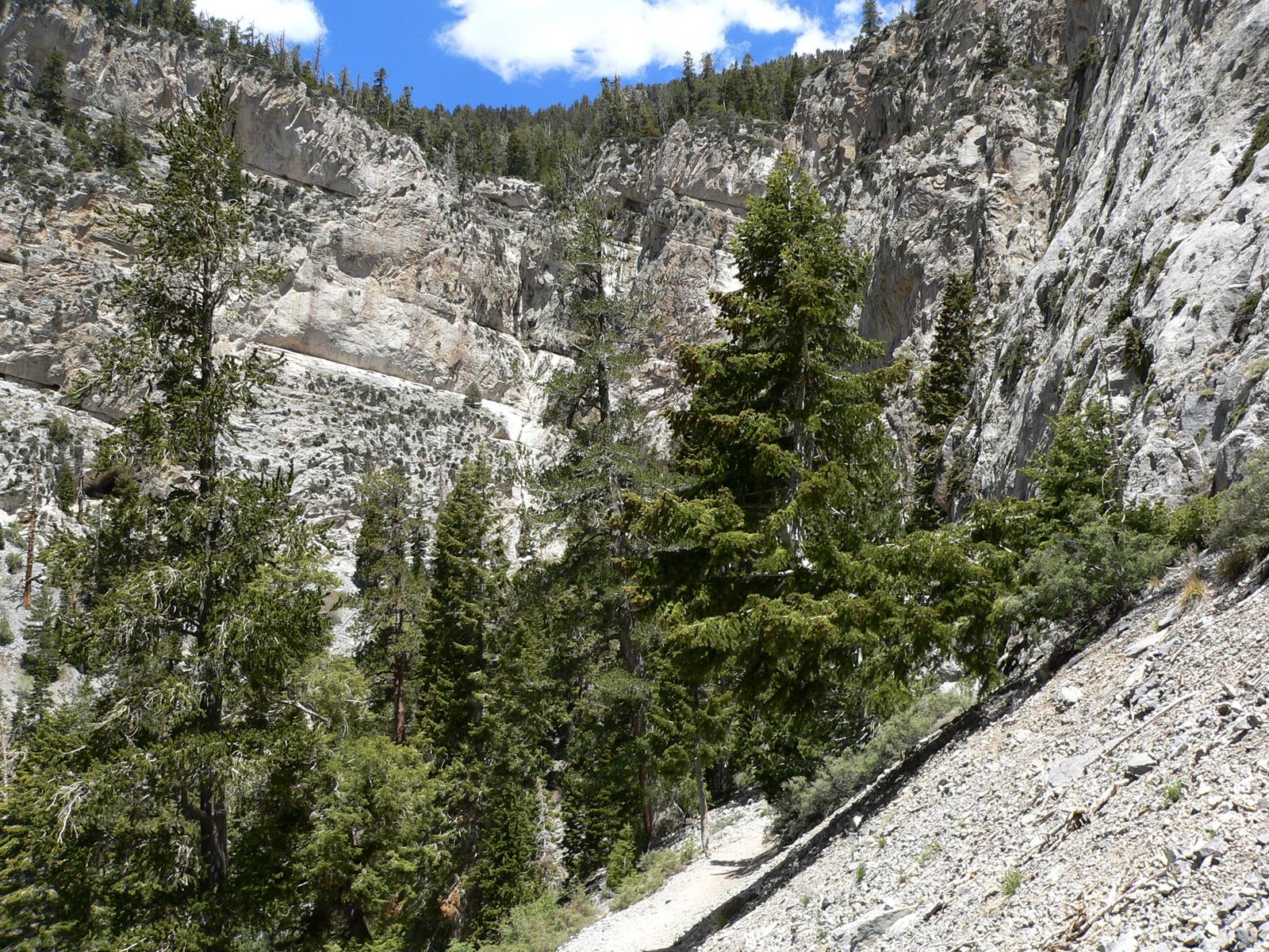 Mary Jane Falls seen from the trail, May 2008