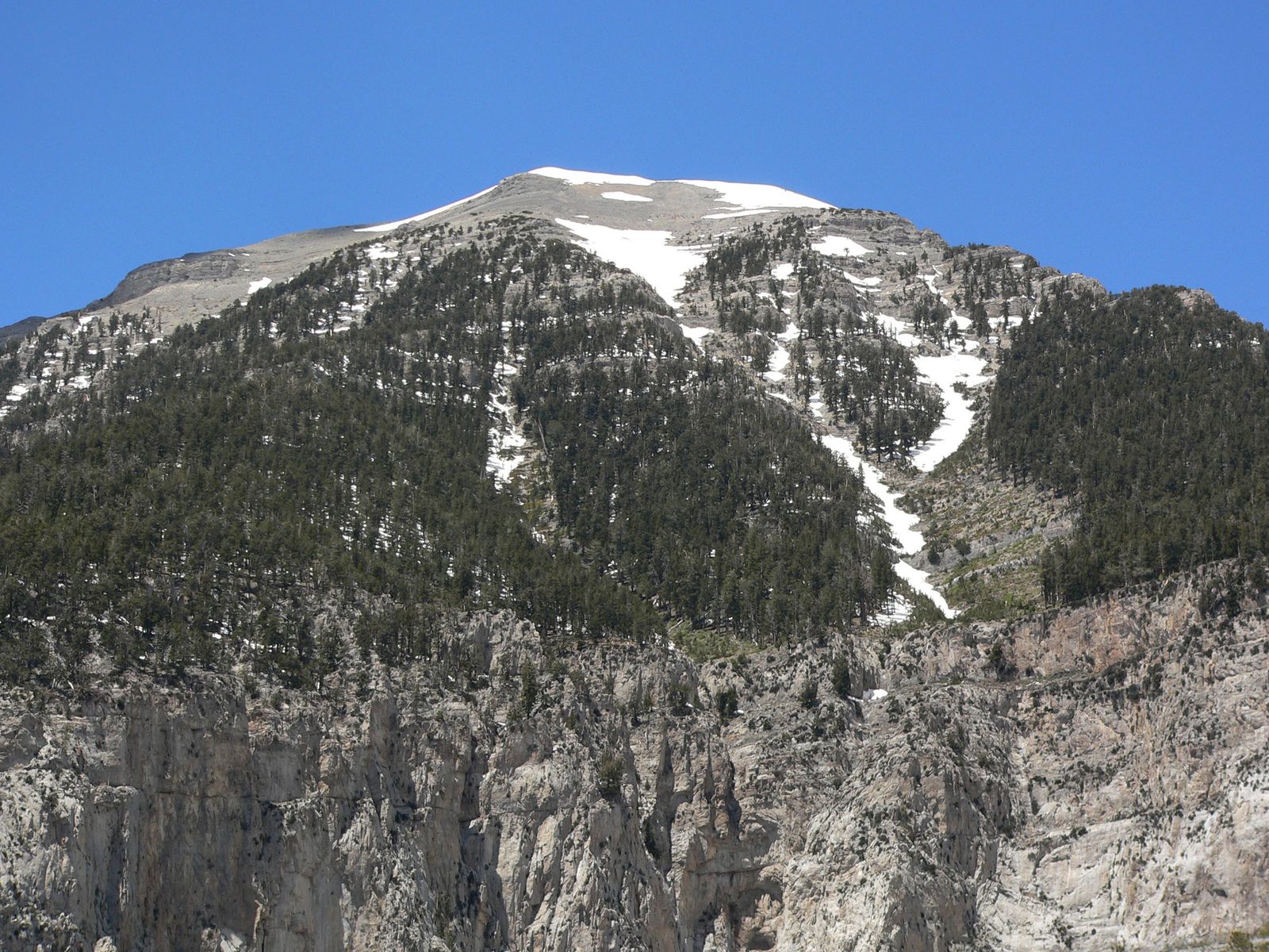 Charleston Peak seen from Mary Jane Falls, May 2008