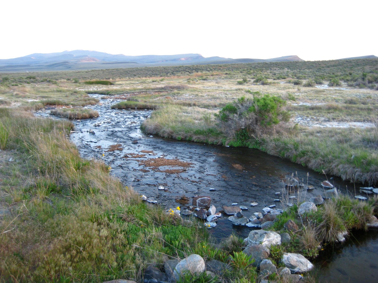 The hot creek winding through the meadow at Soldier Meadows, 2009