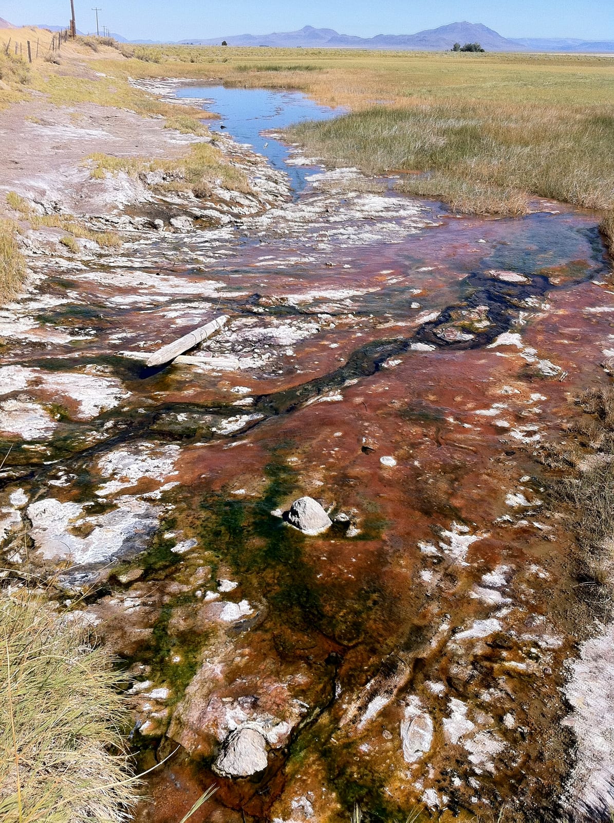 Alvord Hot Springs in Harney County, Oregon
