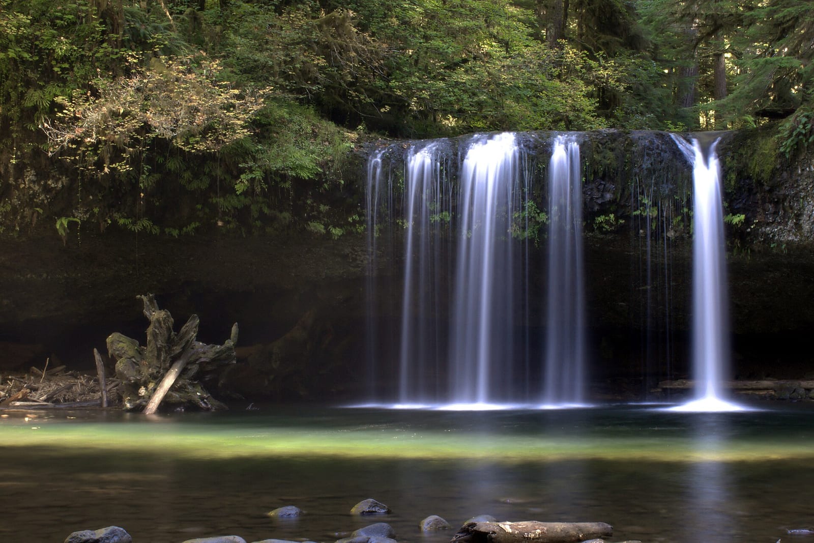 Butte Creek Falls in Oregon