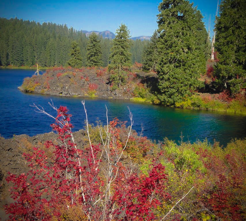 Fall color at Clear Lake, Willamette National Forest, Oregon