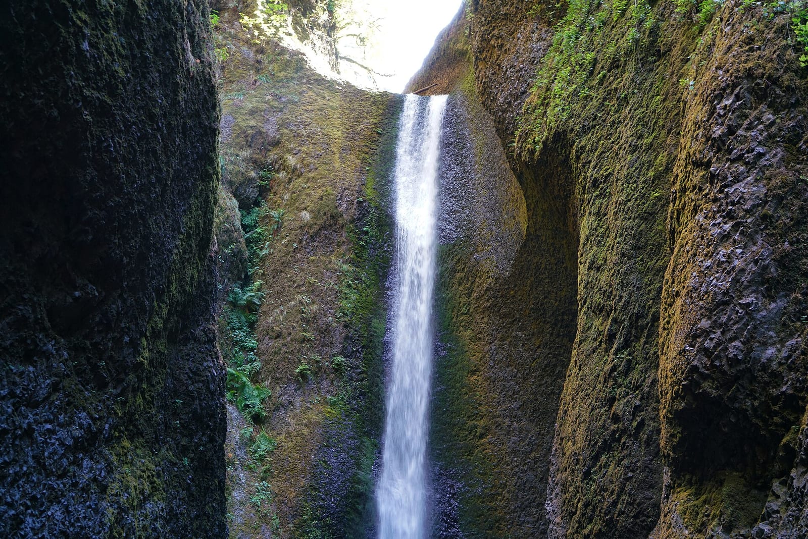 Oneonta Gorge Falls, Columbia River Gorge, Oregon