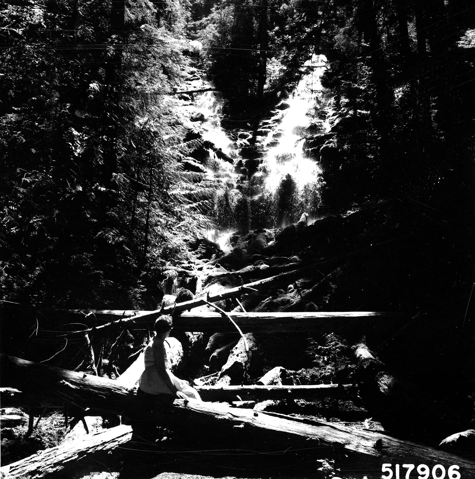 Proxy Falls