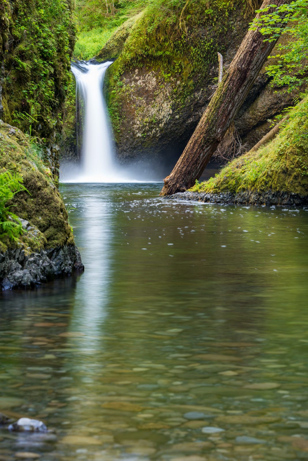 Punch Bowl Falls along Eagle Creek Trail, Oregon
