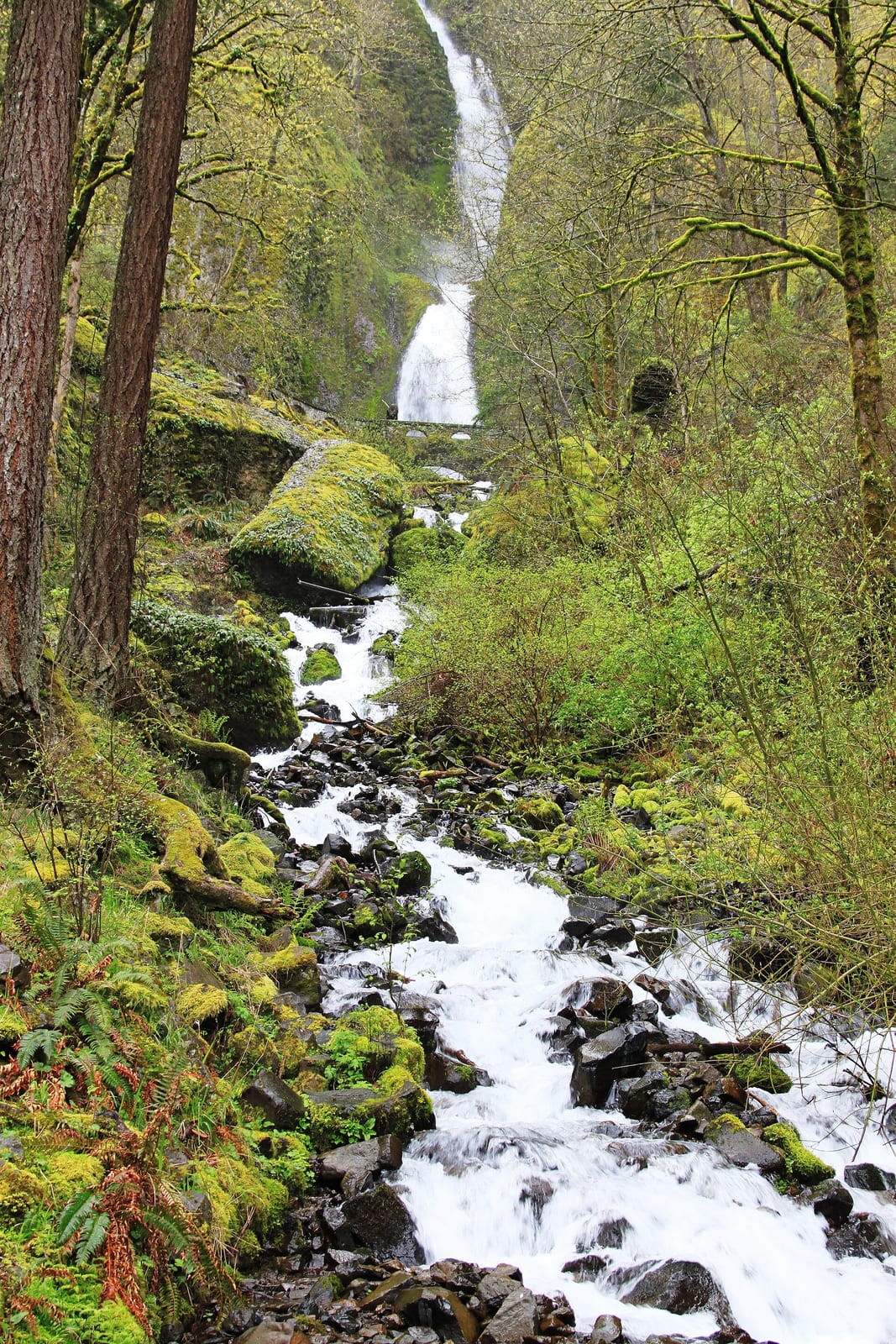 Wahkeena Falls