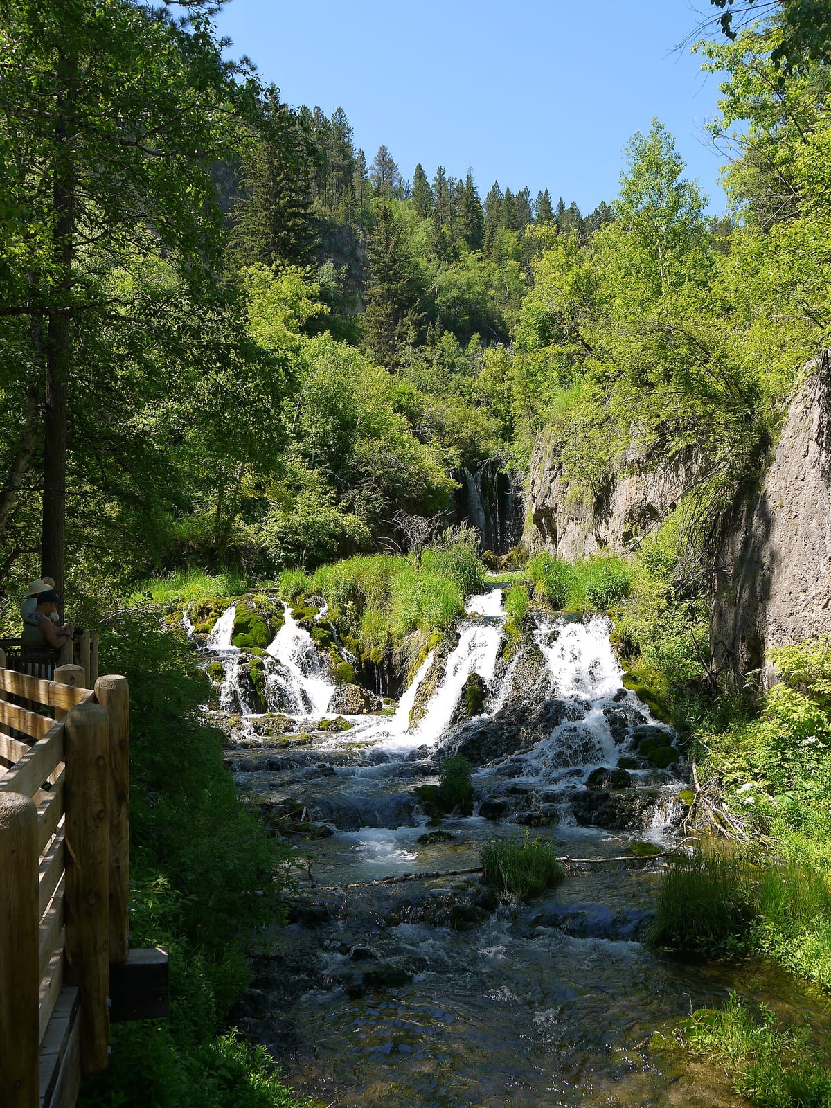 Roughlock Falls in Spearfish Canyon, South Dakota, USA.